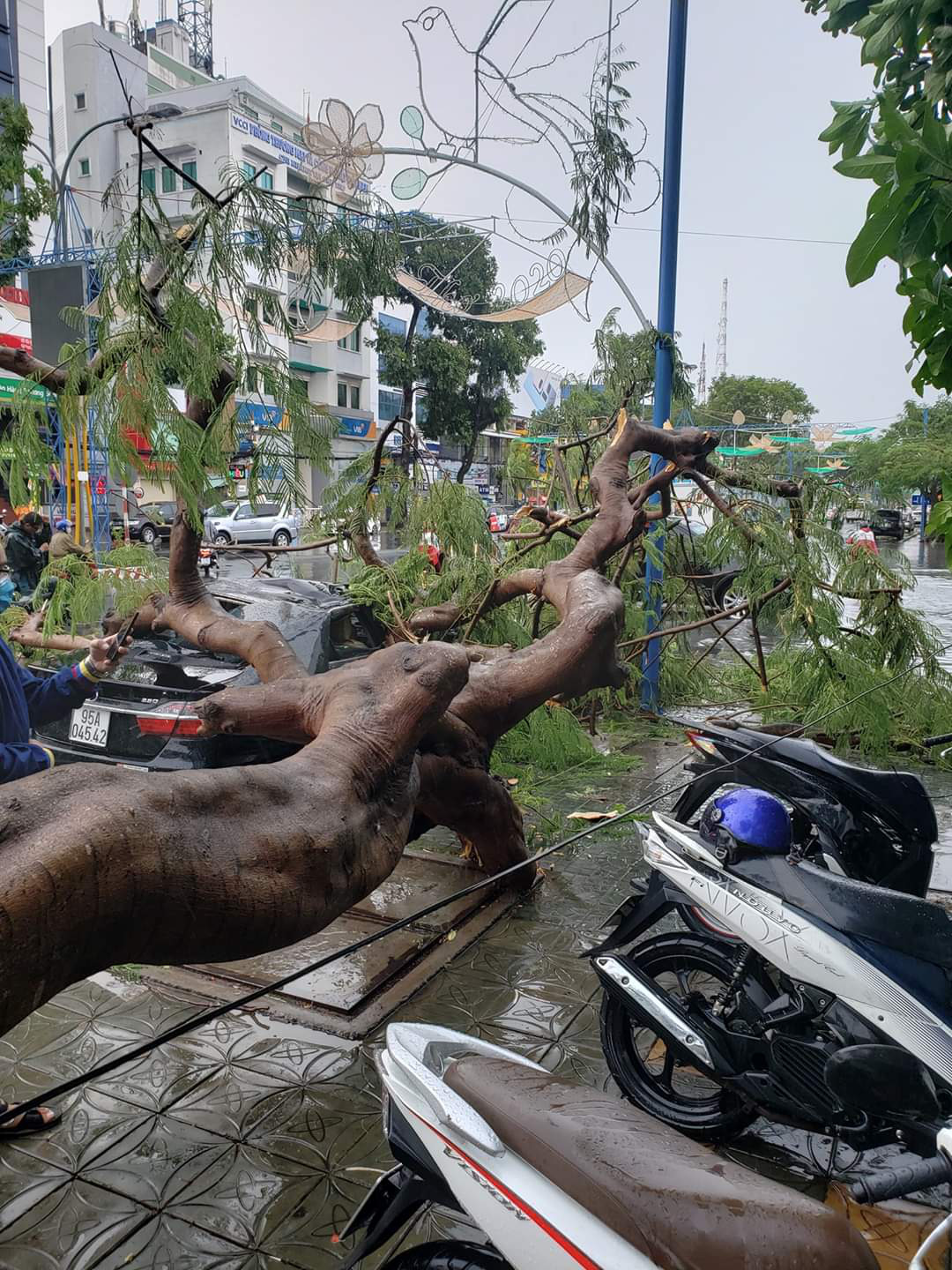 Mưa giông khiến nhà bay, phượng vĩ bật gốc đè ô tô Camry ở miền Tây - Ảnh 1.