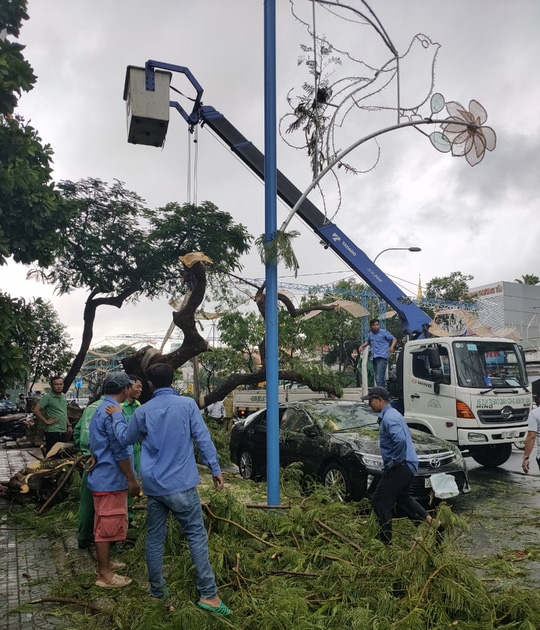 Mưa giông khiến nhà bay, phượng vĩ bật gốc đè ô tô Camry ở miền Tây - Ảnh 2.