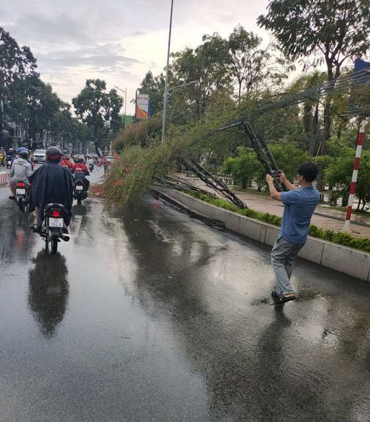 Mưa giông khiến nhà bay, phượng vĩ bật gốc đè ô tô Camry ở miền Tây - Ảnh 3.