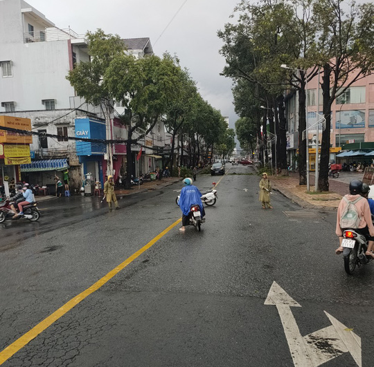 Mưa giông khiến nhà bay, phượng vĩ bật gốc đè ô tô Camry ở miền Tây - Ảnh 4.