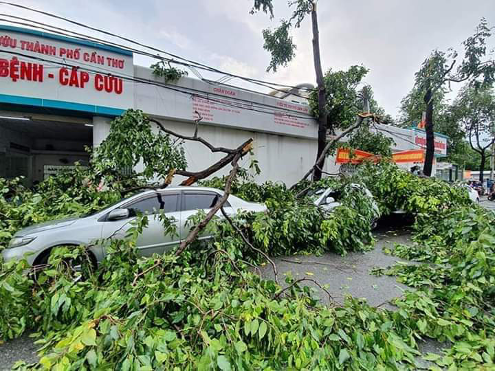 Mưa giông khiến nhà bay, phượng vĩ bật gốc đè ô tô Camry ở miền Tây - Ảnh 5.