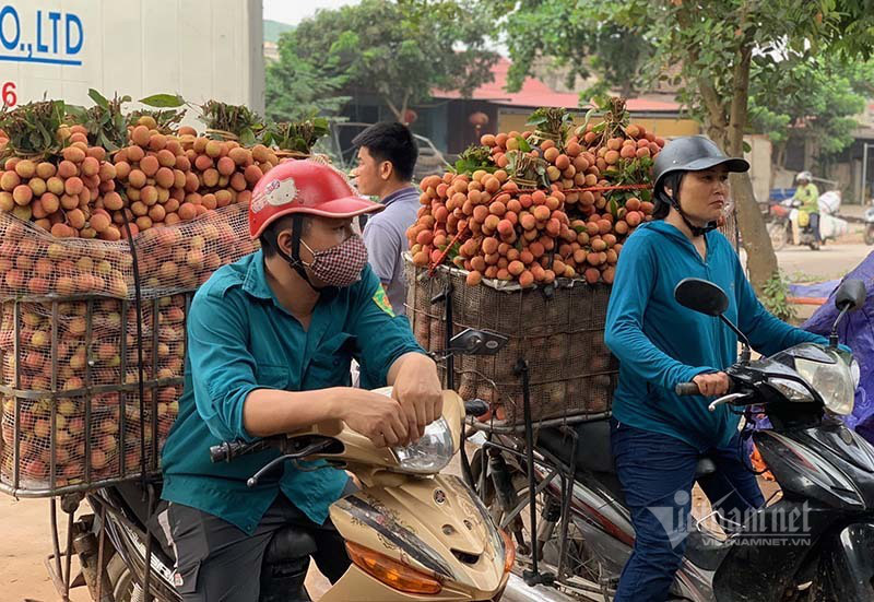 Mỗi năm 1 mùa trắng đêm, đại gia chân đất chia nhau đếm 4.000 tỉ đồng