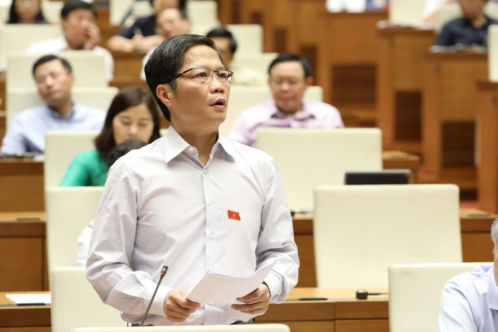 Đại biểu Quốc hội nêu trách nhiệm điều hành xuất khẩu gạo