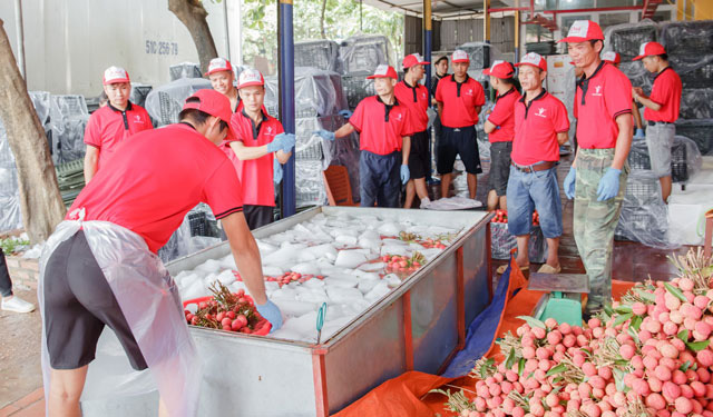 Sáng tạo của những "vua" xuất khẩu nông sản