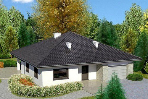 10 mẫu biệt thự vườn từ 500 triệu được ưa chuộng nhất hiện nay - Ảnh 1.