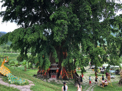 Huyền bí mộc thần Yang Bay