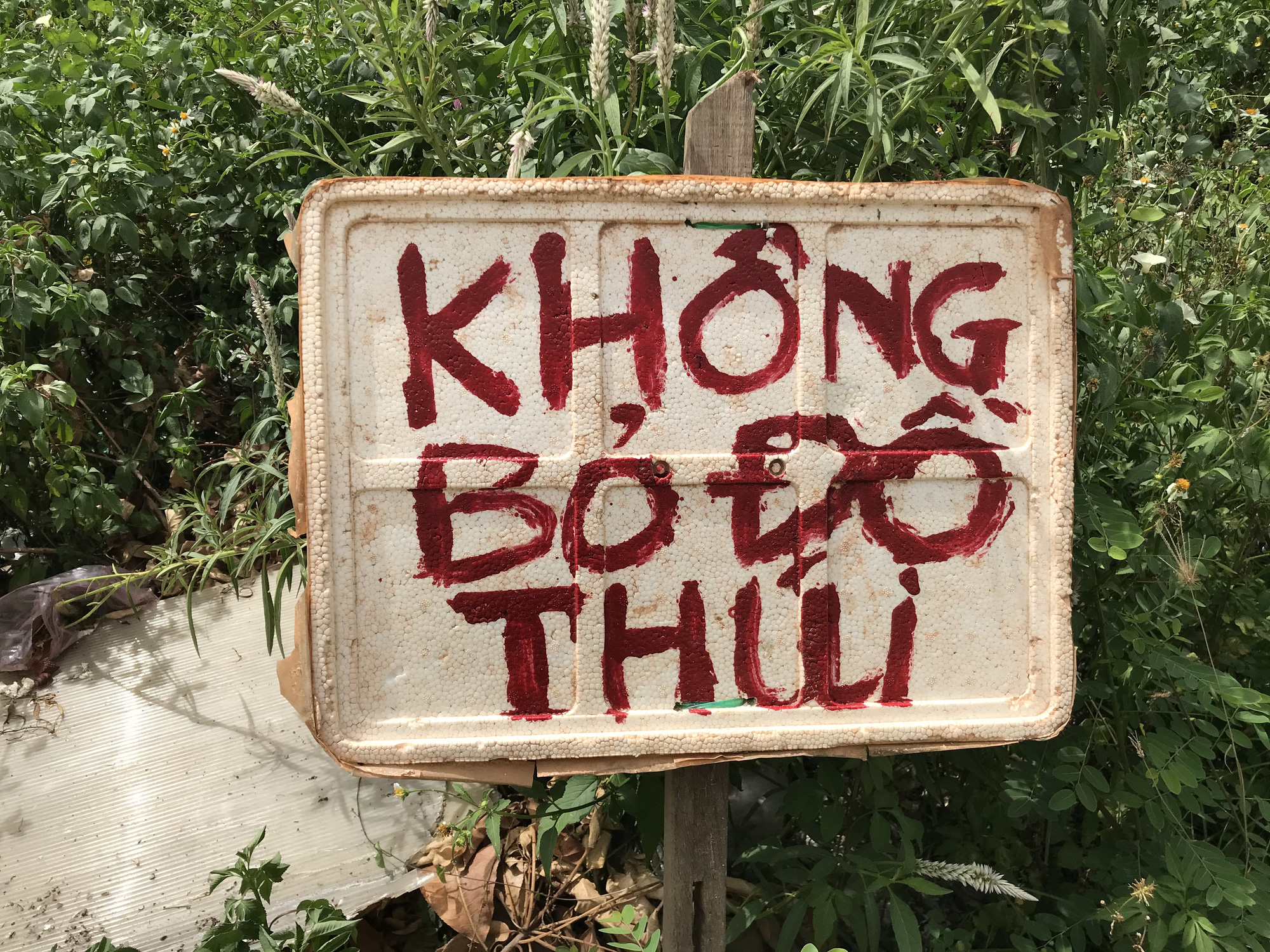 Đ&agrave; Nẵng: B&atilde;i r&aacute;c tự ph&aacute;t g&acirc;y &ocirc; nhiễm nặng - Ảnh 4.