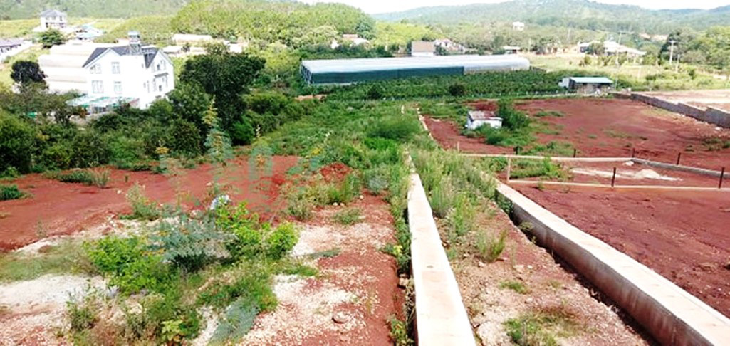 Vợ Gi&aacute;m đốc Sở Tư ph&aacute;p lừa đảo h&agrave;ng trăm tỉ đồng: Vỡ nợ từ đ&acirc;u? - Ảnh 2.