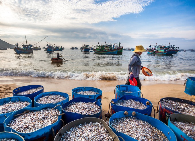 Những l&agrave;ng ch&agrave;i đẹp như tranh vẽ ở Quy Nhơn - Ảnh 6.