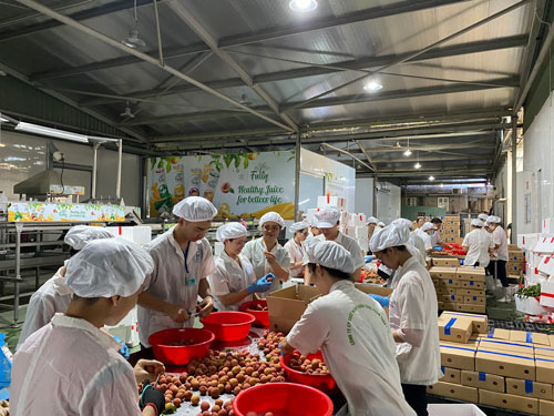 Chất lượng vải Việt Nam đến Nhật Bản như mong đợi