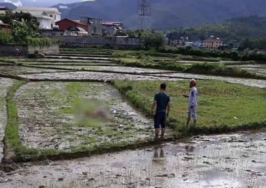 Thảm án kinh hoàng, 3 người tử vong với nhiều vết thương