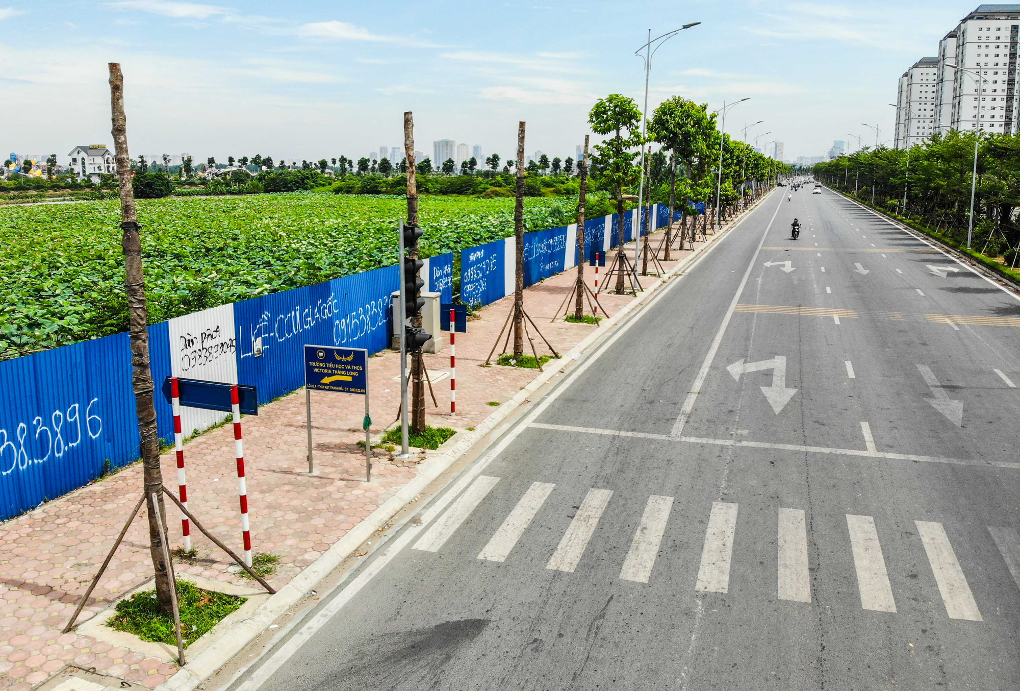 CLIP: H&agrave;ng loạt c&acirc;y chết kh&ocirc; tr&ecirc;n con đường ng&agrave;n tỉ vừa đi v&agrave;o sử dụng - Ảnh 5.