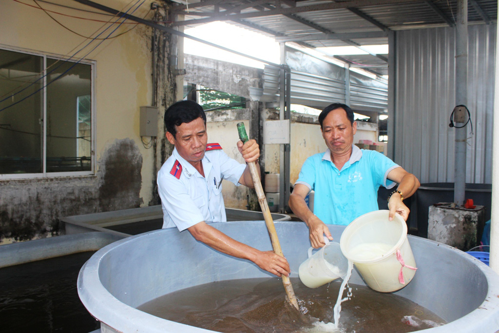 Bạc Liêu: Lần đầu tiêu hủy hơn 570.000 con tôm giống không qua kiểm dịch - Ảnh 4.