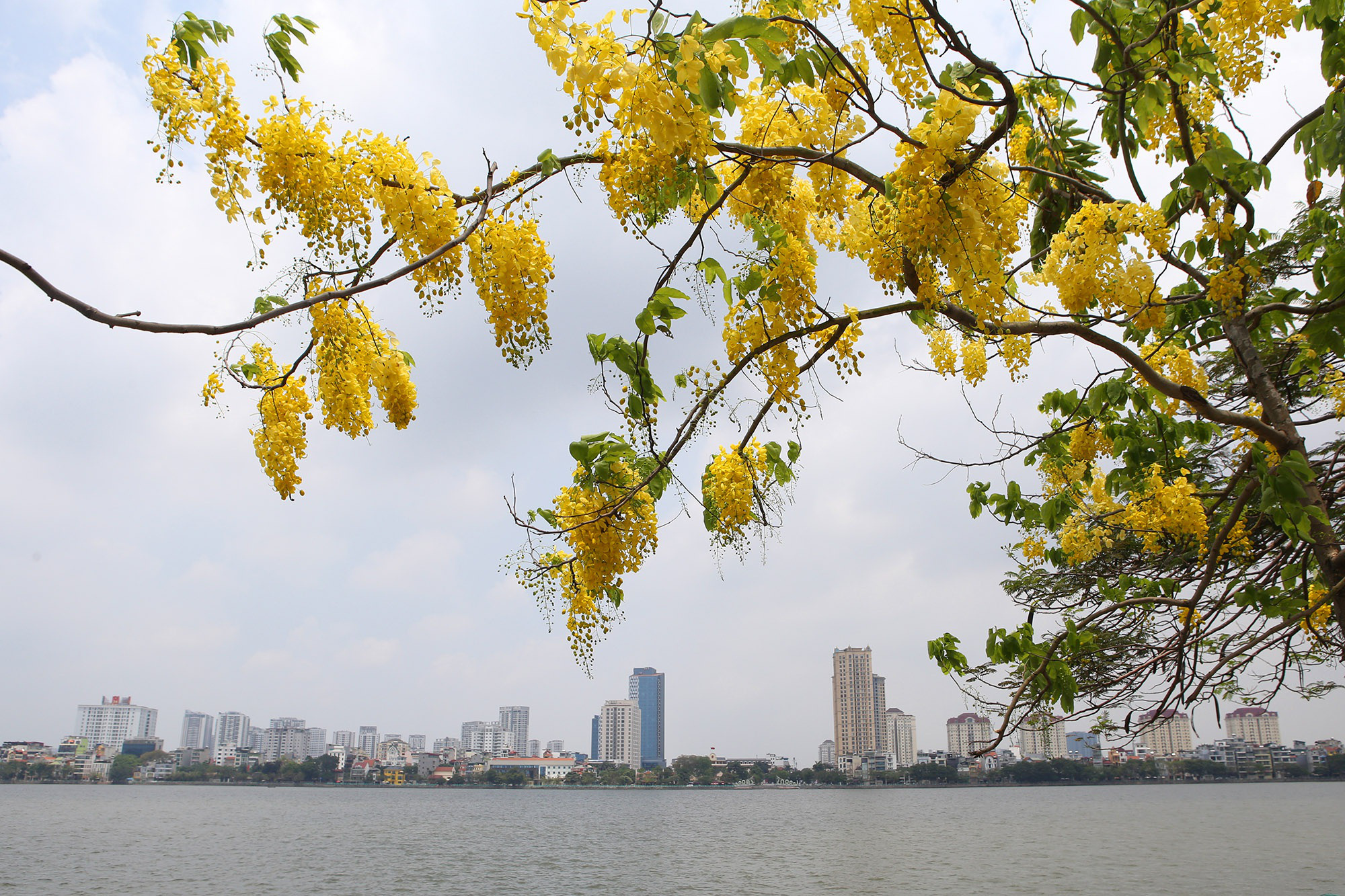 Mãi yêu Hà Nội