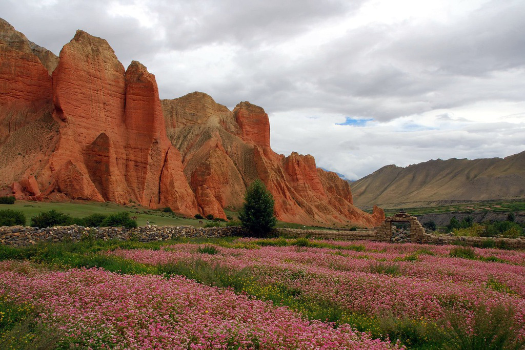 Vương quốc ẩn khuất tr&ecirc;n d&atilde;y Himalaya, nơi phụ nữ lấy nhiều chồng - Ảnh 9.