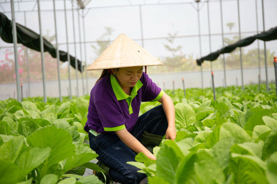 Thanh - kiểm tra Vinamit liên tục, Bình Dương nói gì?