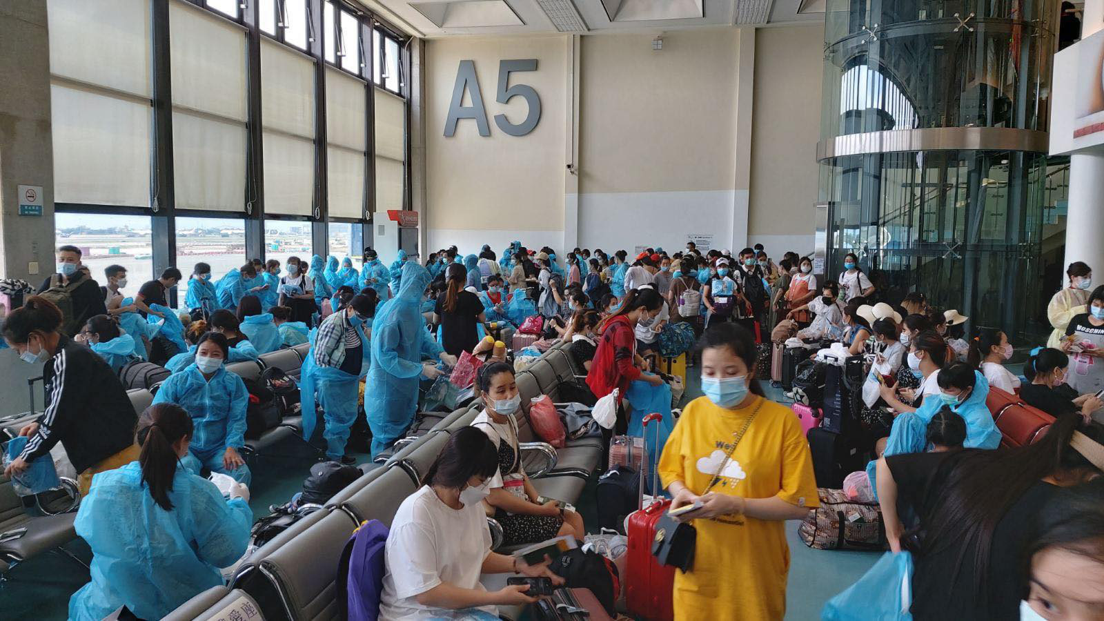 Sân bay Tân Sơn Nhất đón 343 người Việt bị mắc kẹt do dịch Covid-19 từ Đài Loan về nước