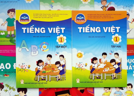 TP HCM không can thiệp việc chọn SGK mới - Ảnh 2.