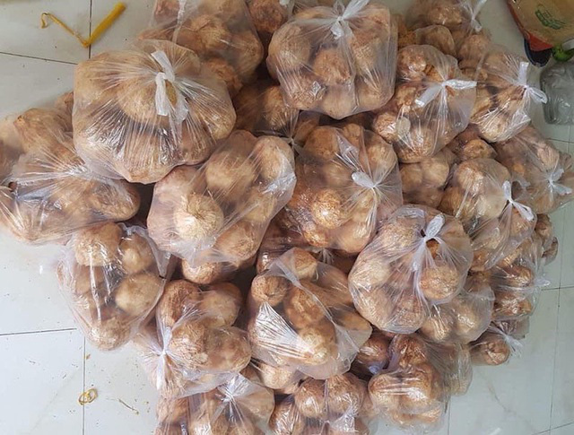 Ng&agrave;y b&aacute;n 5.000 quả dừa t&iacute; hon, h&agrave;ng lạ g&acirc;y sốt ng&agrave;y nắng ch&aacute;y - Ảnh 3.