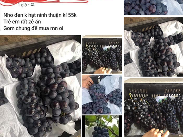 Nho không hạt bán tràn lan, dân buôn hoa quả "vạch mặt" sự thật bất ngờ