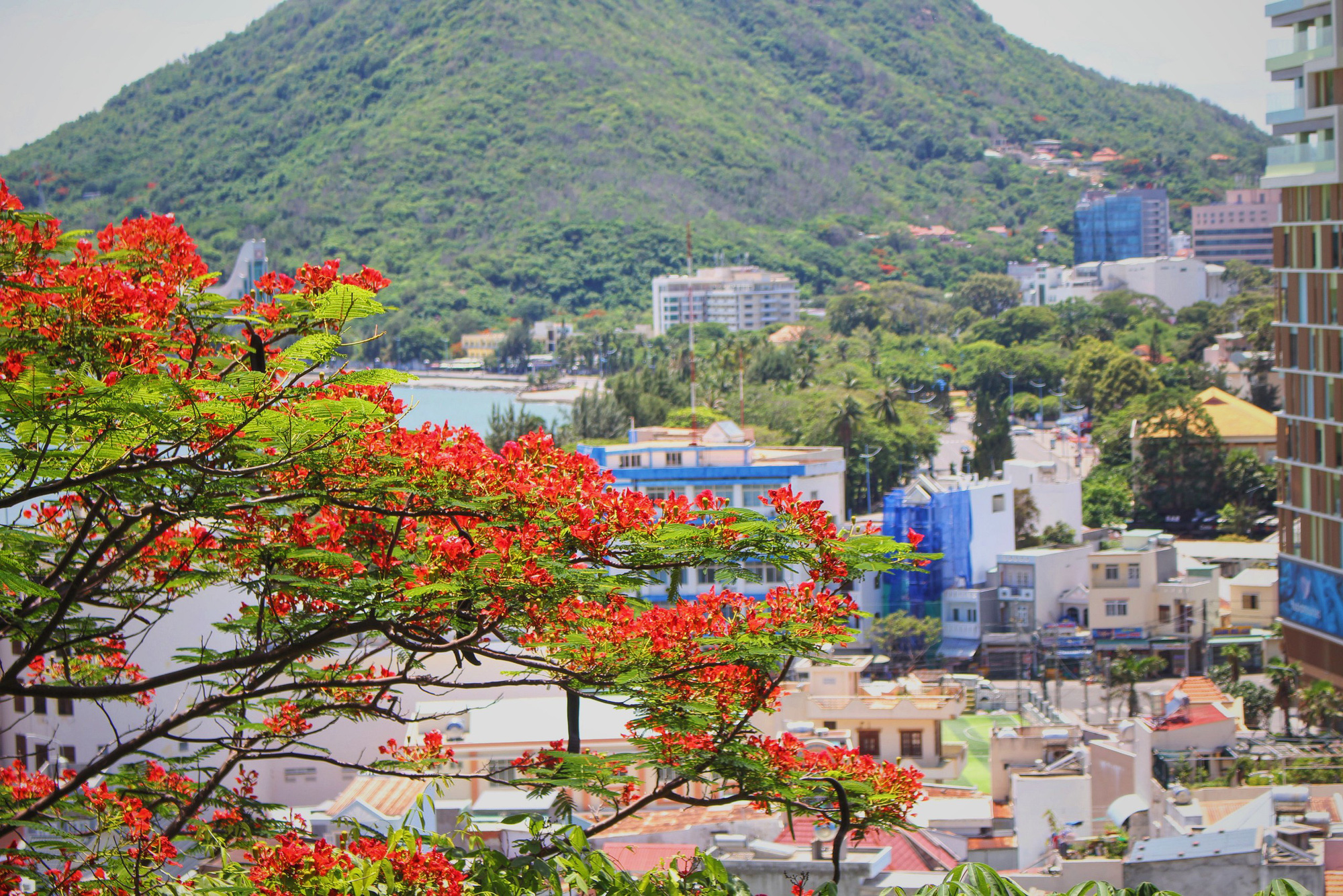 Giới trẻ S&agrave;i G&ograve;n truyền tai nhau trải nghiệm con đường m&ugrave;a h&egrave; đẹp nhất th&agrave;nh phố biển Vũng T&agrave;u - Ảnh 2.
