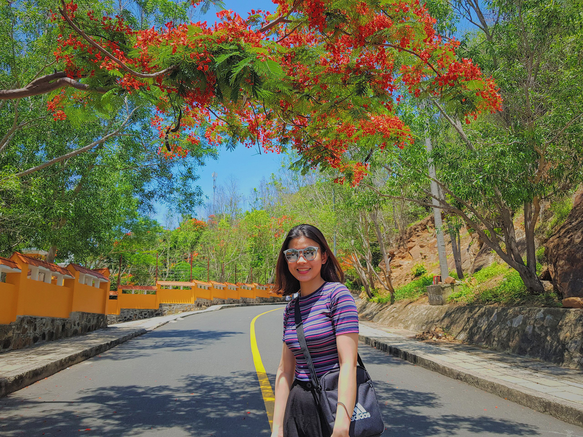 Giới trẻ S&agrave;i G&ograve;n truyền tai nhau trải nghiệm con đường m&ugrave;a h&egrave; đẹp nhất th&agrave;nh phố biển Vũng T&agrave;u - Ảnh 3.