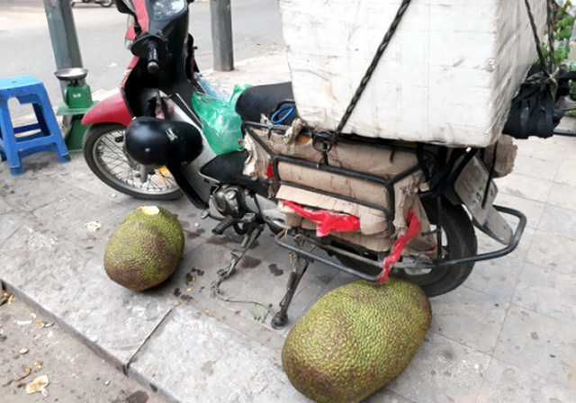Cuối tuần tìm mua mít quê, bà chị công sở kiếm tiền triệu mỗi chuyến - Ảnh 2.