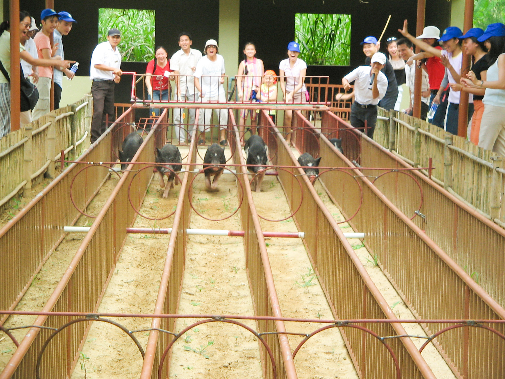 C&ocirc;ng vi&ecirc;n Du lịch Yang Bay đ&atilde; mở cửa đ&oacute;n kh&aacute;ch trở lại - Ảnh 6.
