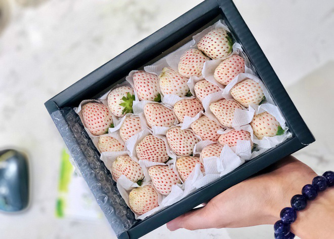 Dâu tây Bạch Tuyết giá hơn 2,5 triệu đồng/kg vẫn "cháy" hàng