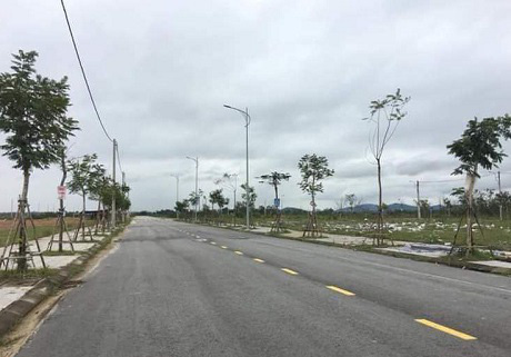 Bắt "phó phòng dự án'' khiến nhiều người mua đất sập bẫy