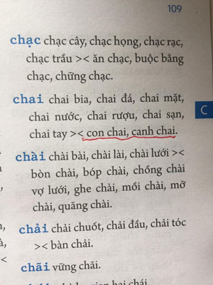 “TỪ ĐIỂN CHÍNH TẢ” SAI CHÍNH TẢ! (*): Nhiều lỗi nặng đến khó tin - Ảnh 4.