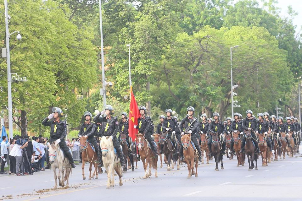 Đo&agrave;n Cảnh s&aacute;t cơ động Kỵ binh: Giống ngựa kỵ binh sức khoẻ tốt, ngoại h&igrave;nh ph&ugrave; hợp - Ảnh 1.