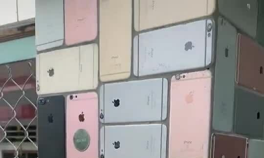 Người Việt ốp hàng rào bằng vỏ iPhone
