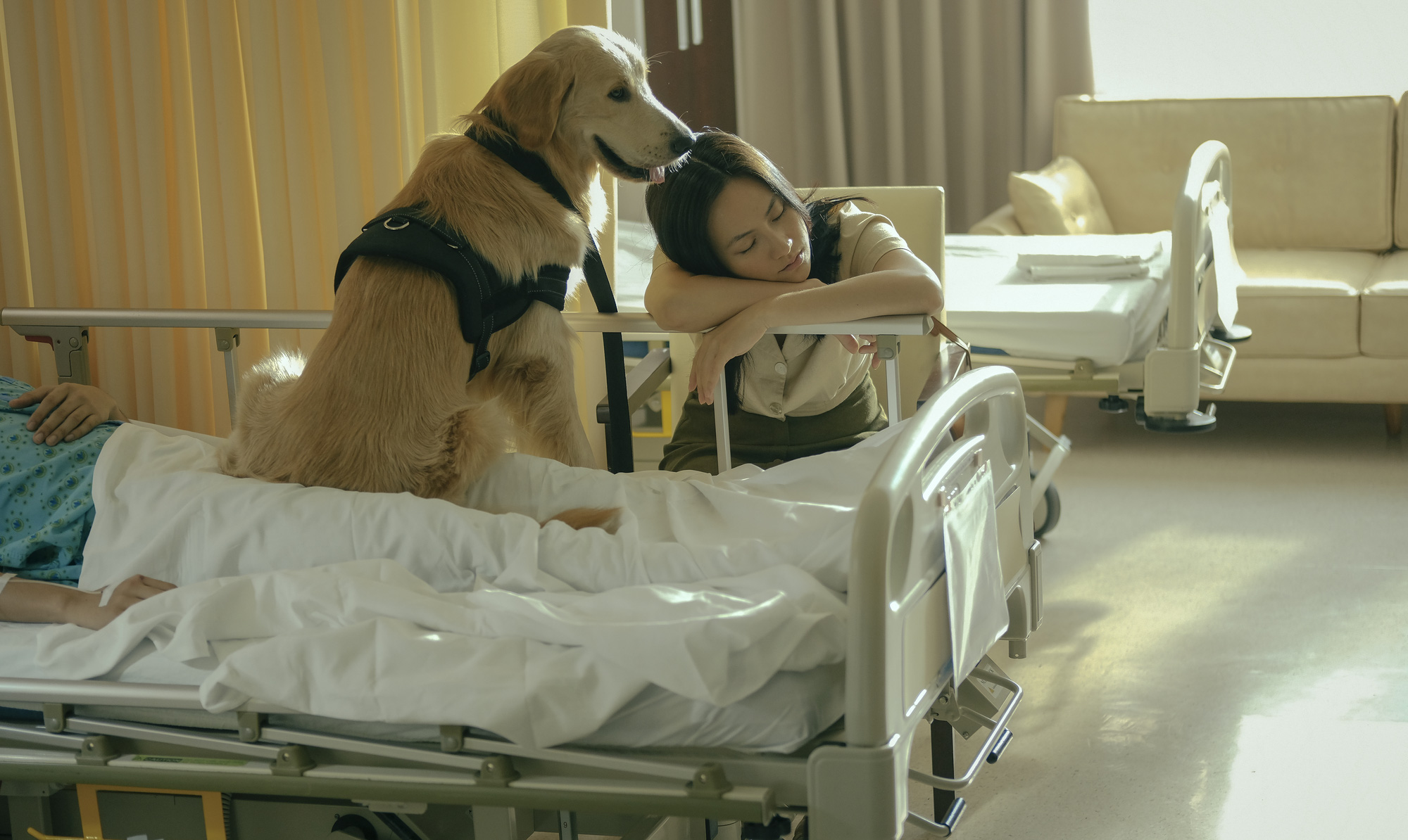Phương Anh Đào khổ sở vì "bạn diễn 4 chân"