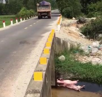 Mất tích sau lễ tổng kết năm học, thi thể nữ sinh lớp 11 được tìm thấy dưới mương nước