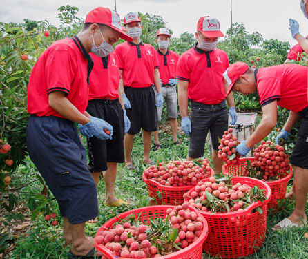 Doanh nghiệp nội chặn đà sụt giảm xuất khẩu