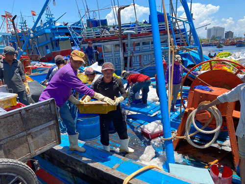 Đà Nẵng: Âu thuyền Thọ Quang còn ô nhiễm đến bao giờ?
