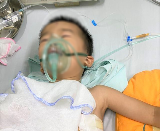 Bé 4 tuổi sờ đầu nghé, bị trâu mẹ húc thủng phổi