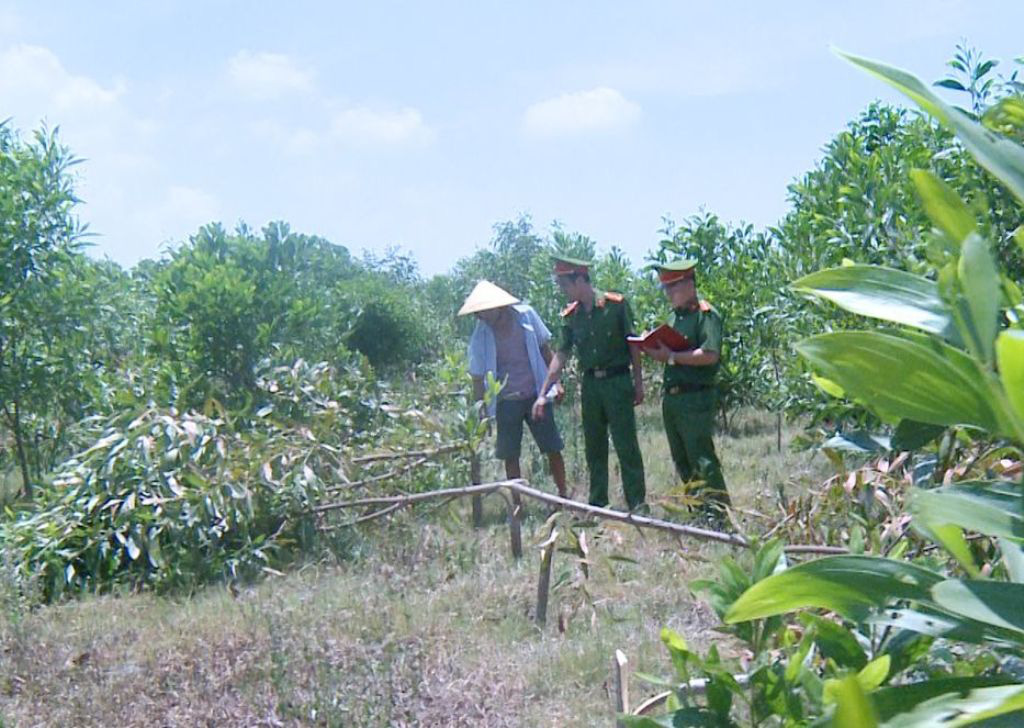 Hàng xóm không cho chăn thả bò, vác dao chặt phá hơn 700 cây keo để trả thù - Ảnh 2.