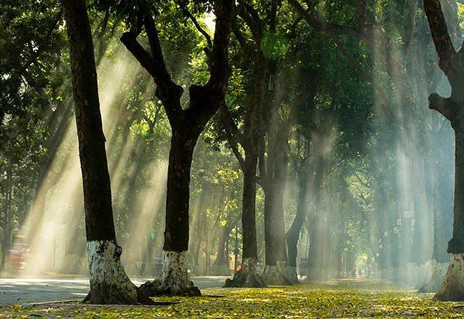 Tháng sáu trời mưa