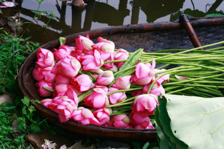 Hà Nội cái gì cũng rẻ...