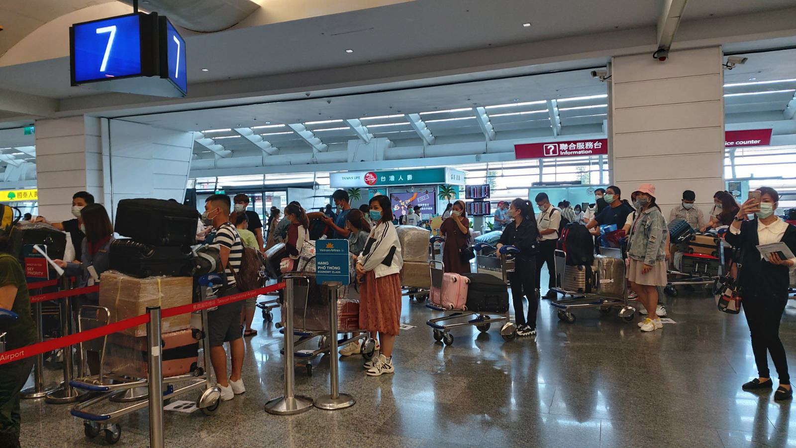 Tân Sơn Nhất đón hơn 300 người Việt từ Đài Loan - Ảnh 2.