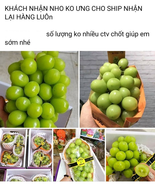 Nho sữa Trung Quốc loạn giá trên chợ mạng - Ảnh 3.