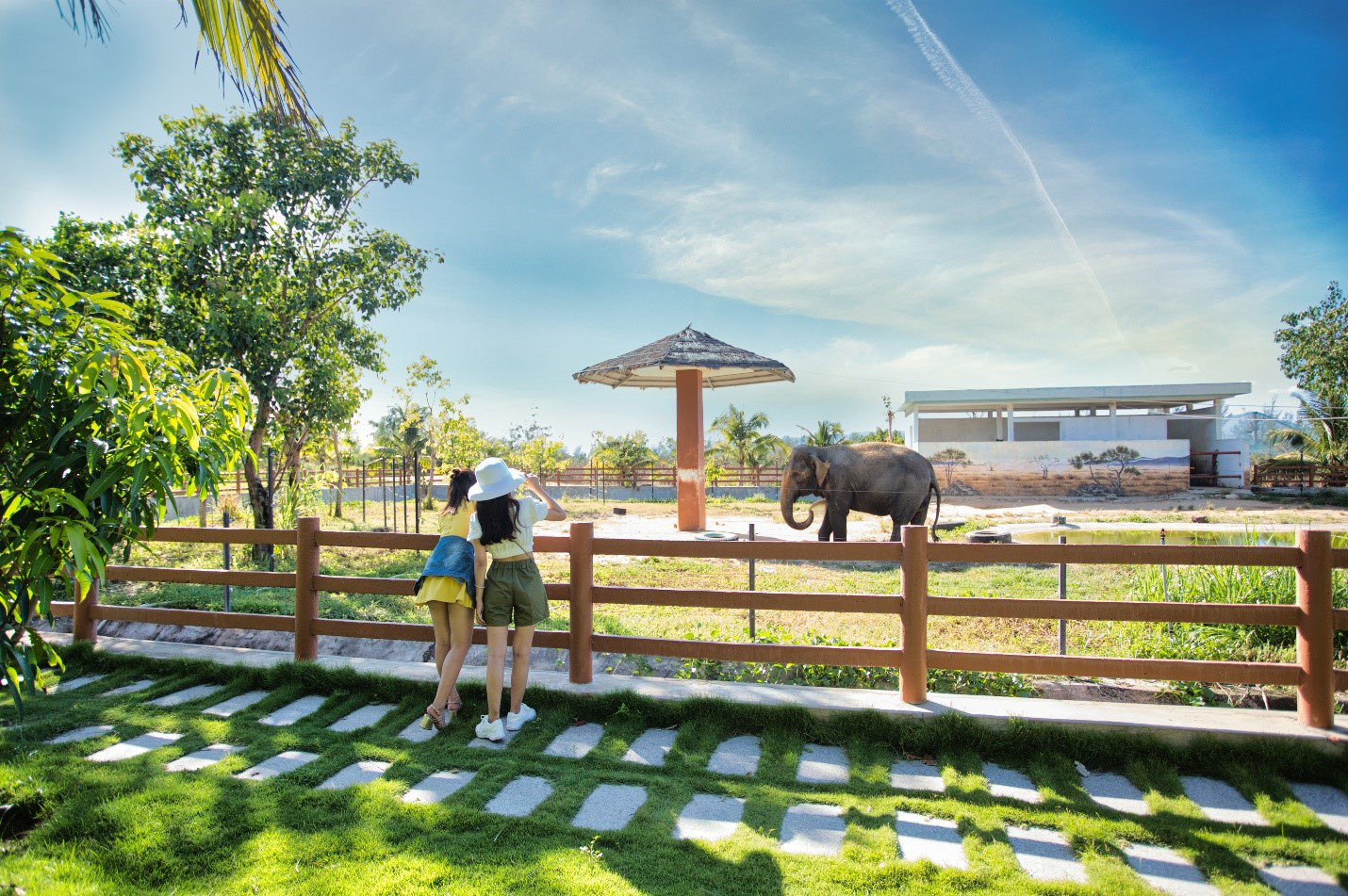 Gh&eacute; FLC Zoo Safari xem hổ săn mồi, chơi c&ugrave;ng voi v&agrave; chuột t&uacute;i Wallaby - Ảnh 4.