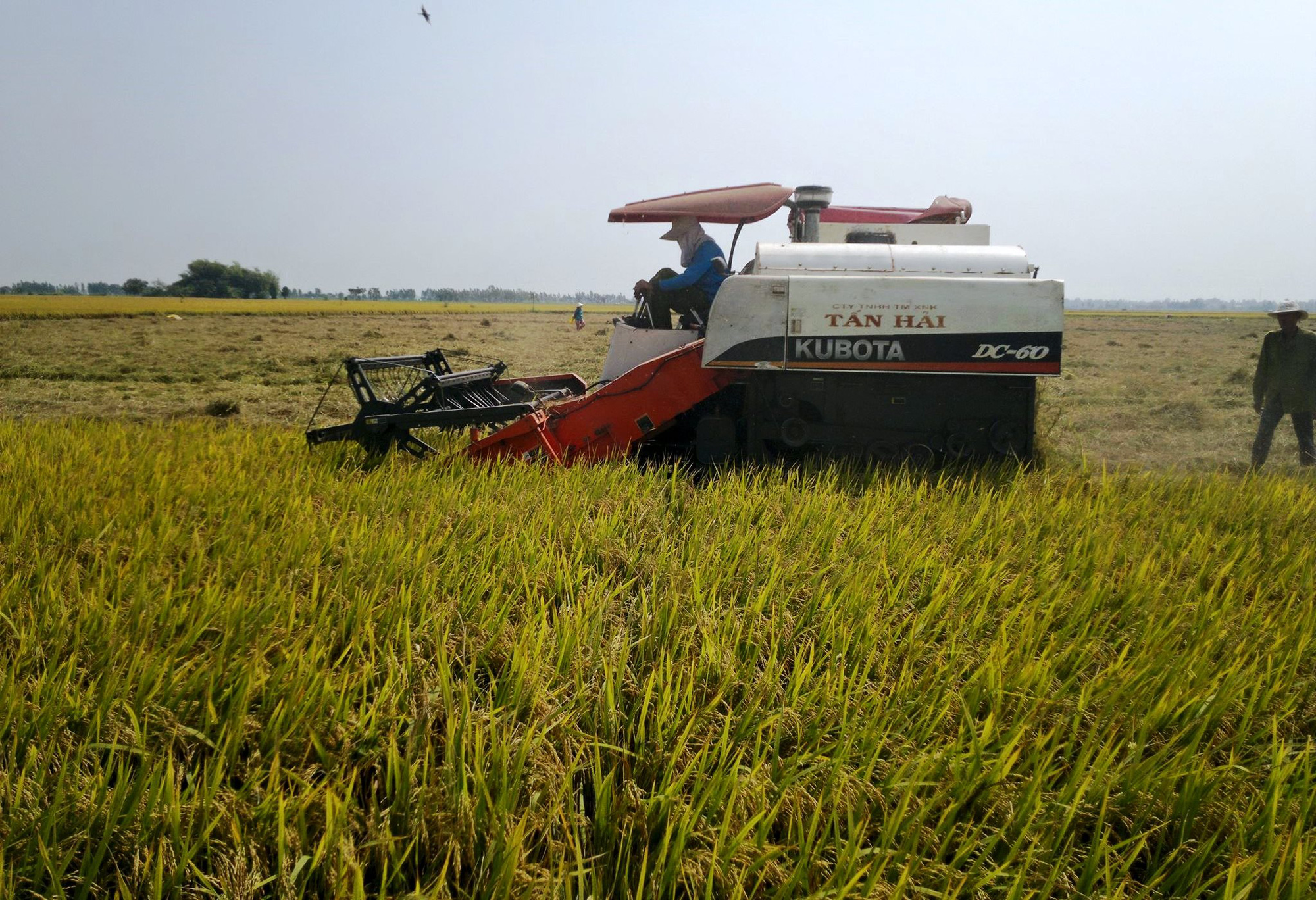 N&Ocirc;NG D&Acirc;N MIỀN T&Acirc;Y BẮT TAY L&Agrave;M &ldquo;NGƯỜI TỬ TẾ&rdquo; (*): Gầy dựng thương hiệu cho n&ocirc;ng sản - Ảnh 3.