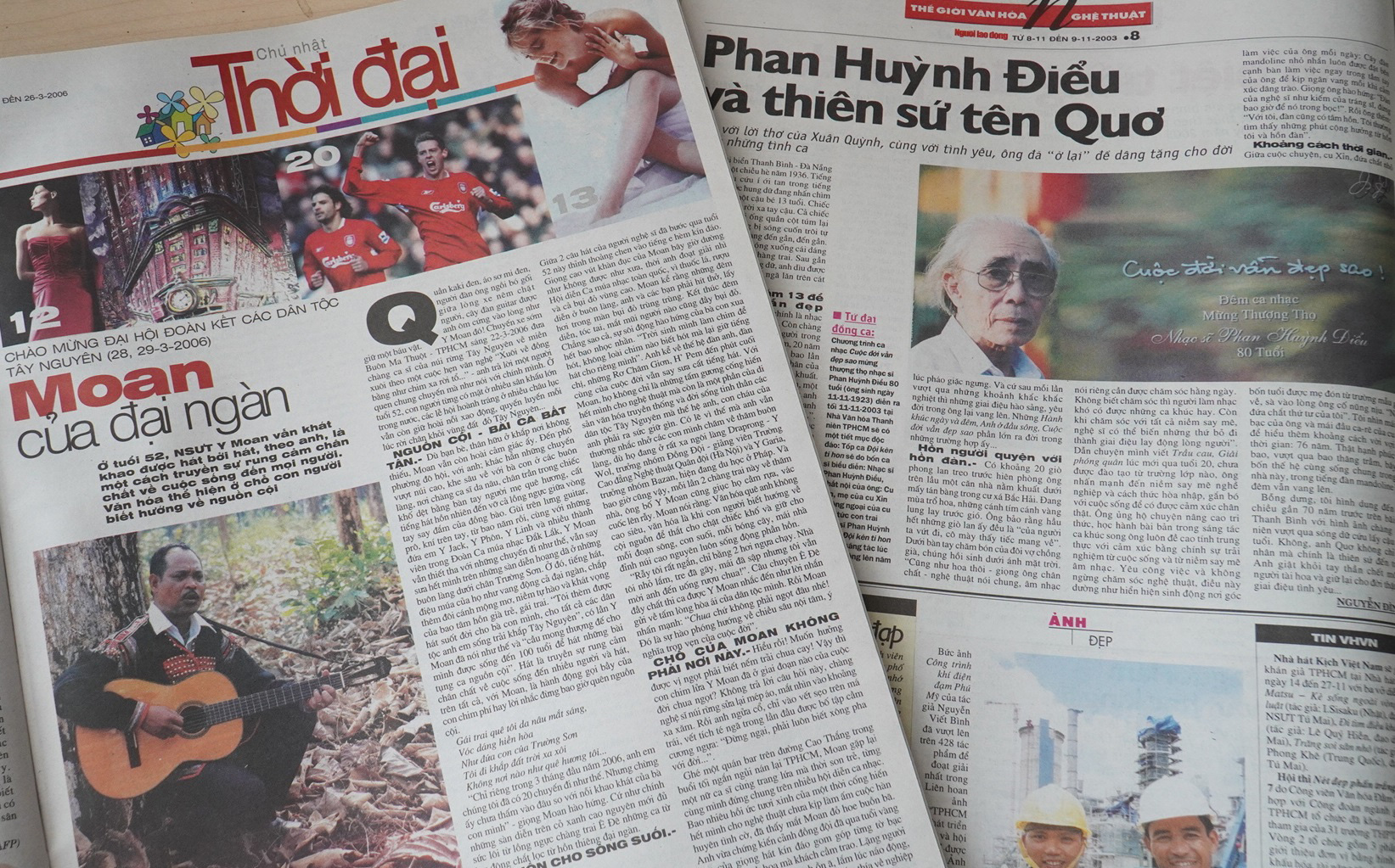 Hoa phong lan và tiếng máy lạnh rì rầm