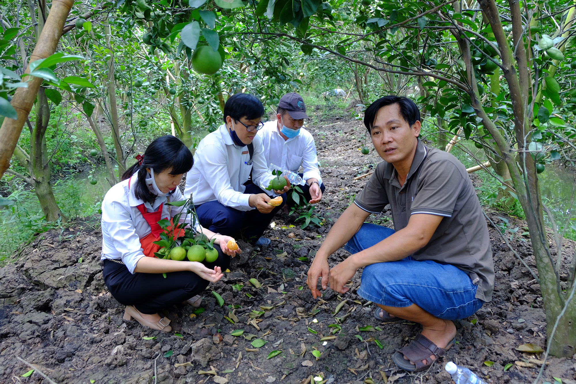 N&Ocirc;NG D&Acirc;N MIỀN T&Acirc;Y BẮT TAY L&Agrave;M &ldquo;NGƯỜI TỬ TẾ&rdquo; (*): Chuẩn tắc, c&ocirc;ng nghệ v&agrave; lệnh thị trường - Ảnh 2.