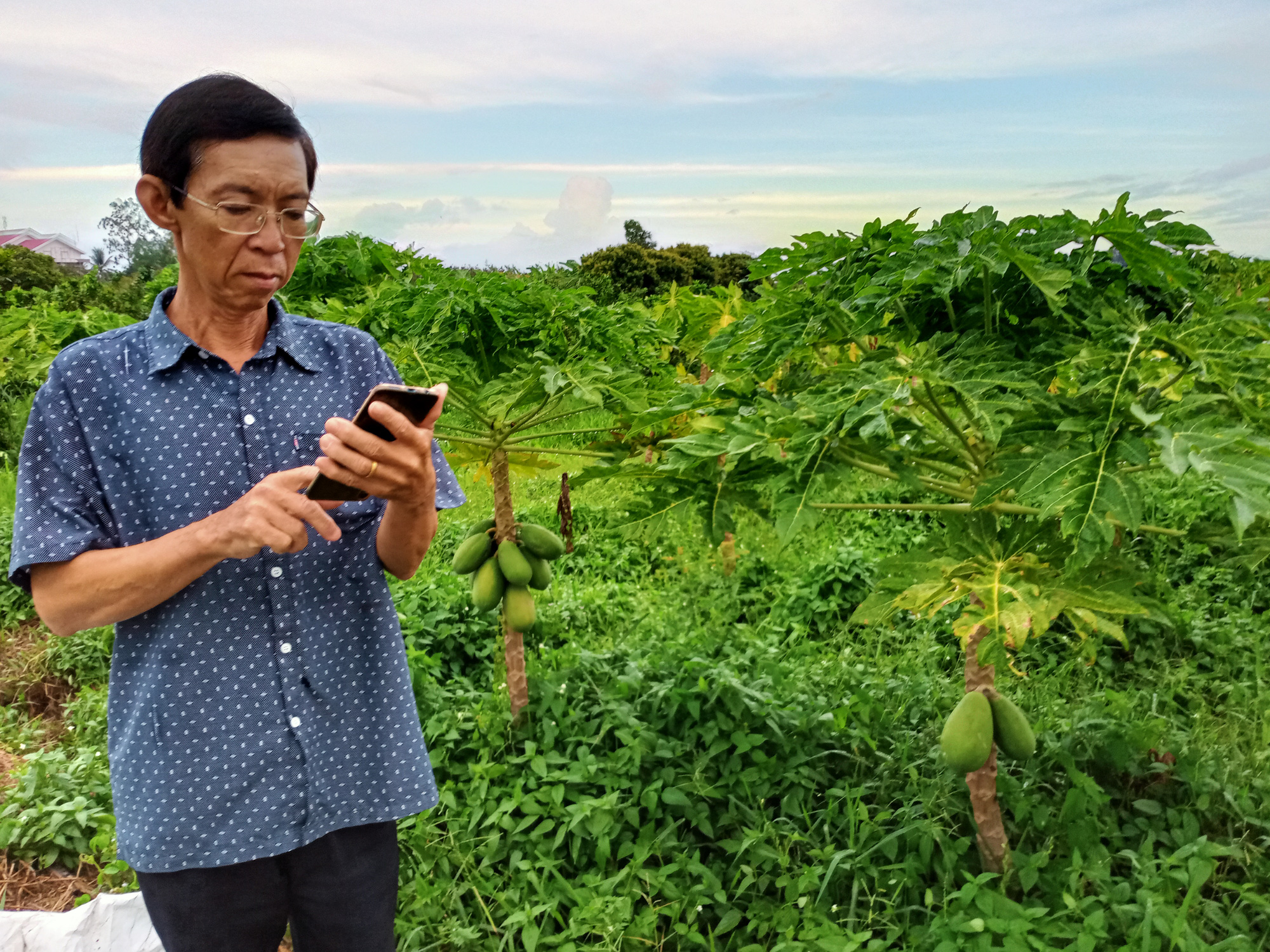 N&Ocirc;NG D&Acirc;N MIỀN T&Acirc;Y BẮT TAY L&Agrave;M &ldquo;NGƯỜI TỬ TẾ&rdquo; (*): Chuẩn tắc, c&ocirc;ng nghệ v&agrave; lệnh thị trường - Ảnh 3.