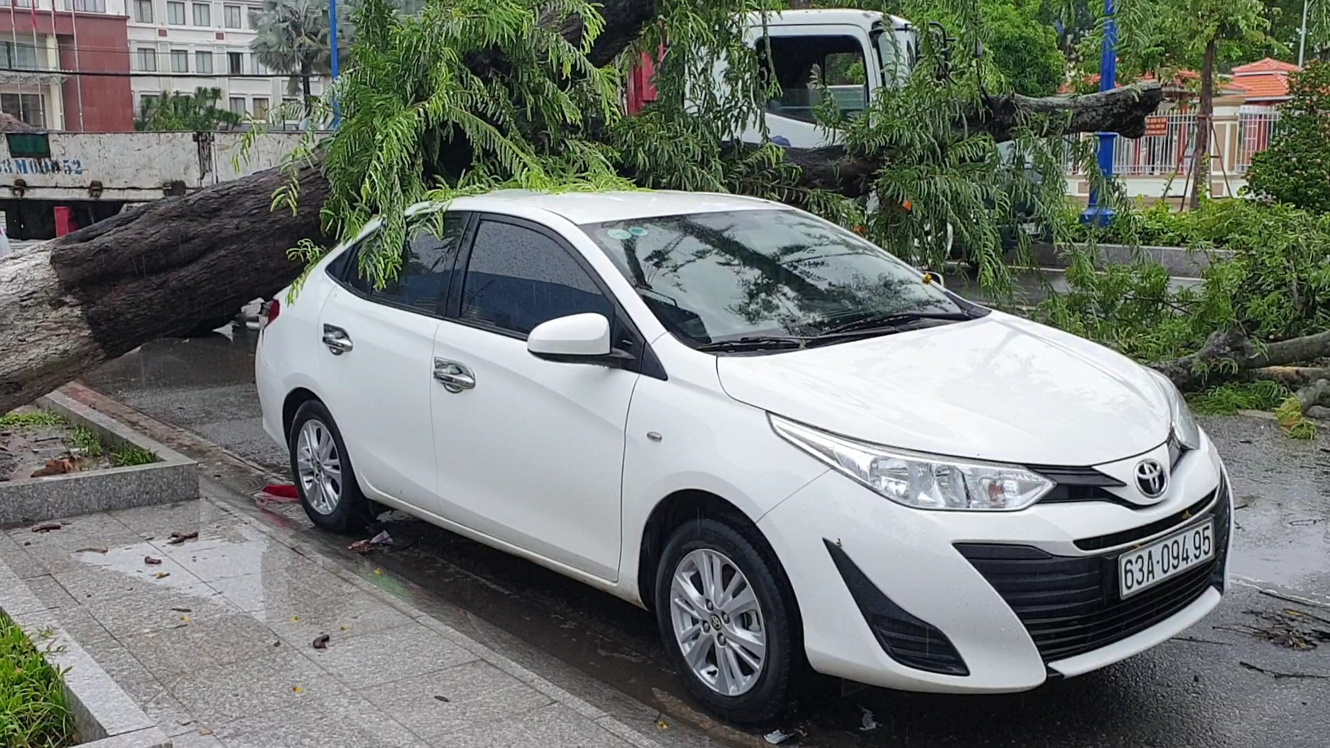 Clip: Cây me ngã ra đường đè xe con