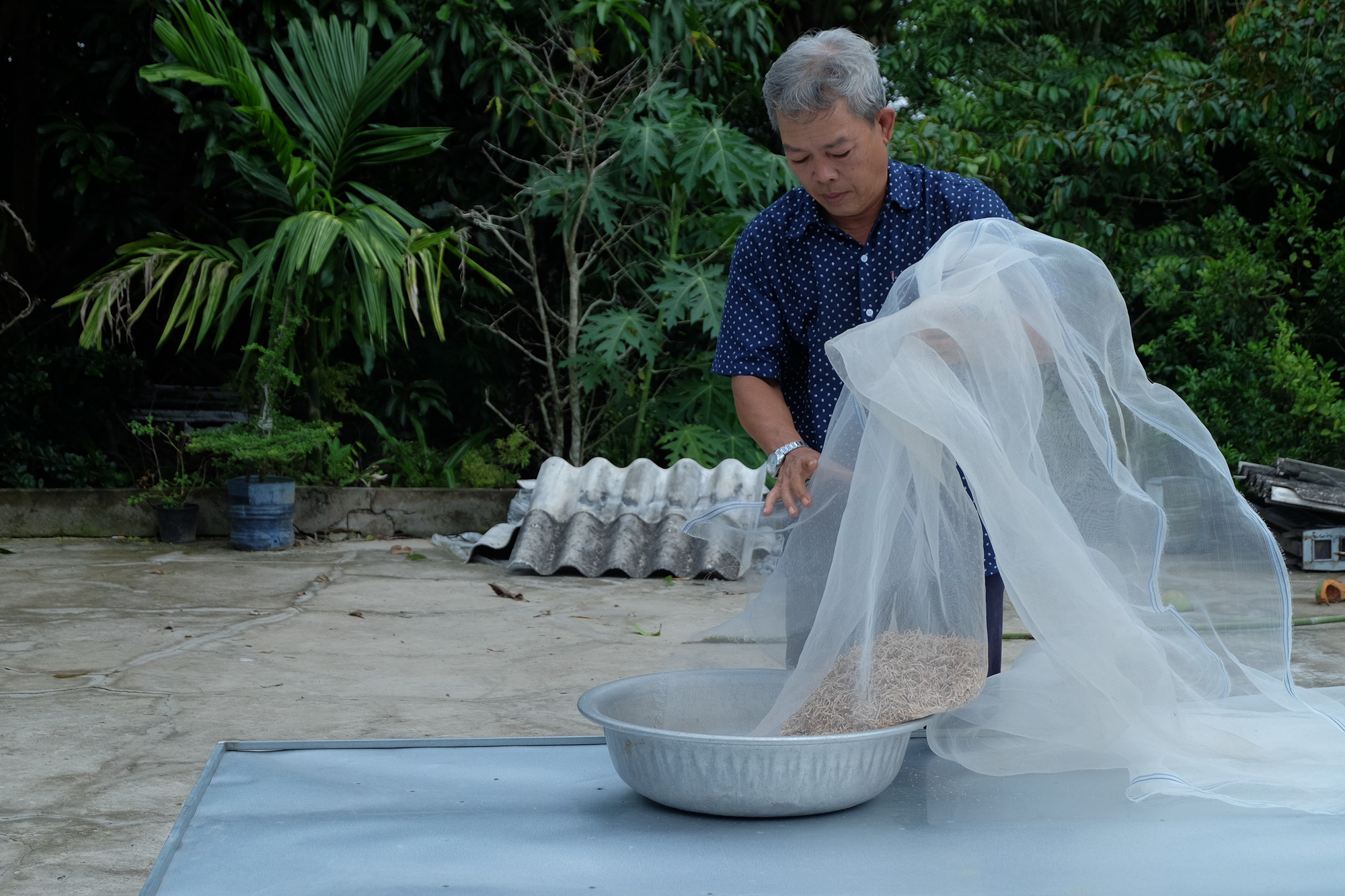 Biến tr&aacute;i m&atilde;ng cầu xi&ecirc;m gi&aacute; cả bấp b&ecirc;nh th&agrave;nh &ldquo;thần dược&rdquo; - Ảnh 1.